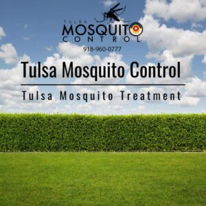 Tulsa Website Design