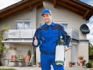 Pest control west palm beach florida